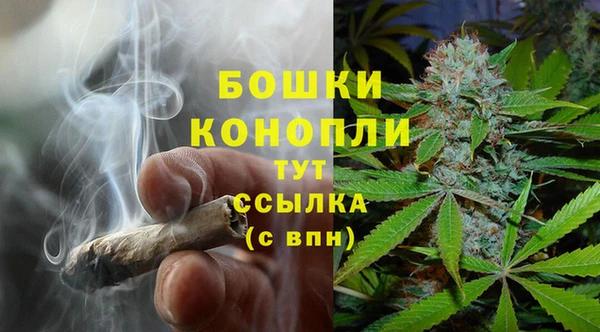 дживик Армянск
