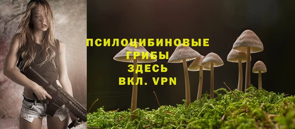 дживик Армянск